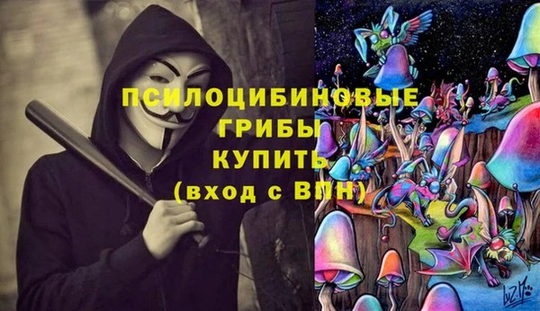 винт Баксан